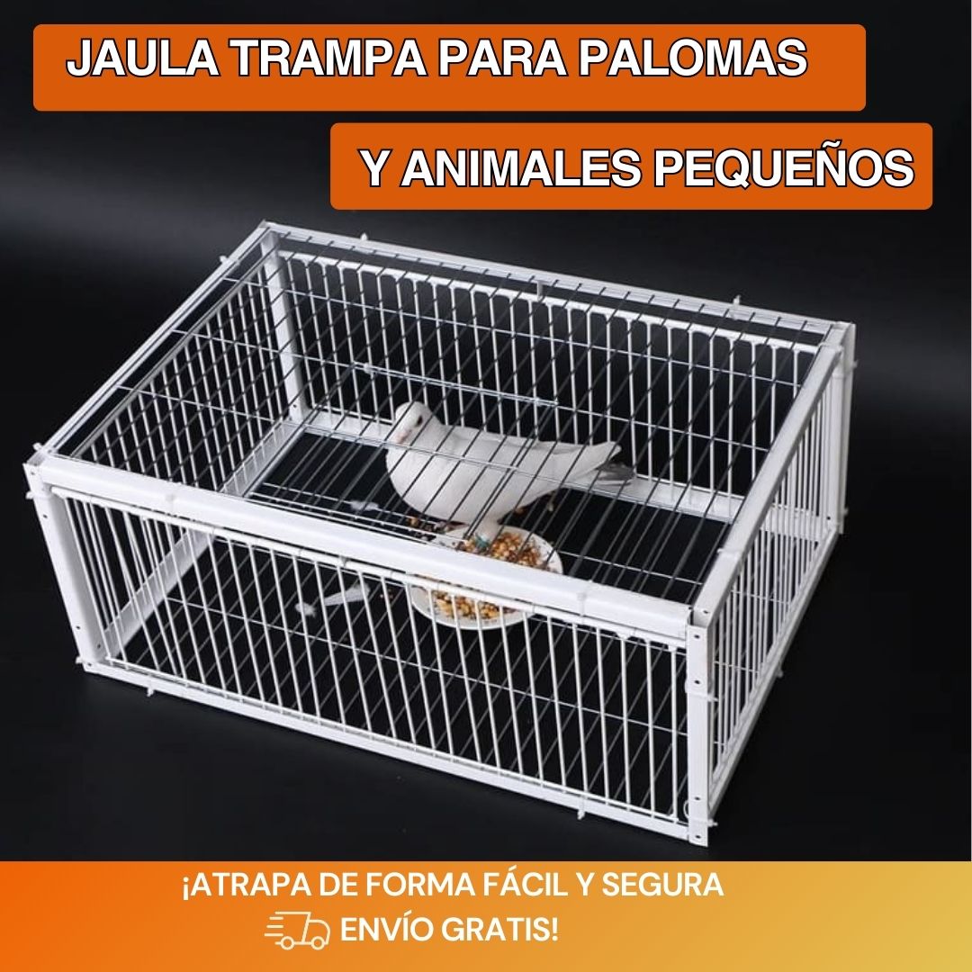 Trampa Innovadora para Aves – Captura Pájaros sin Lastimarlos