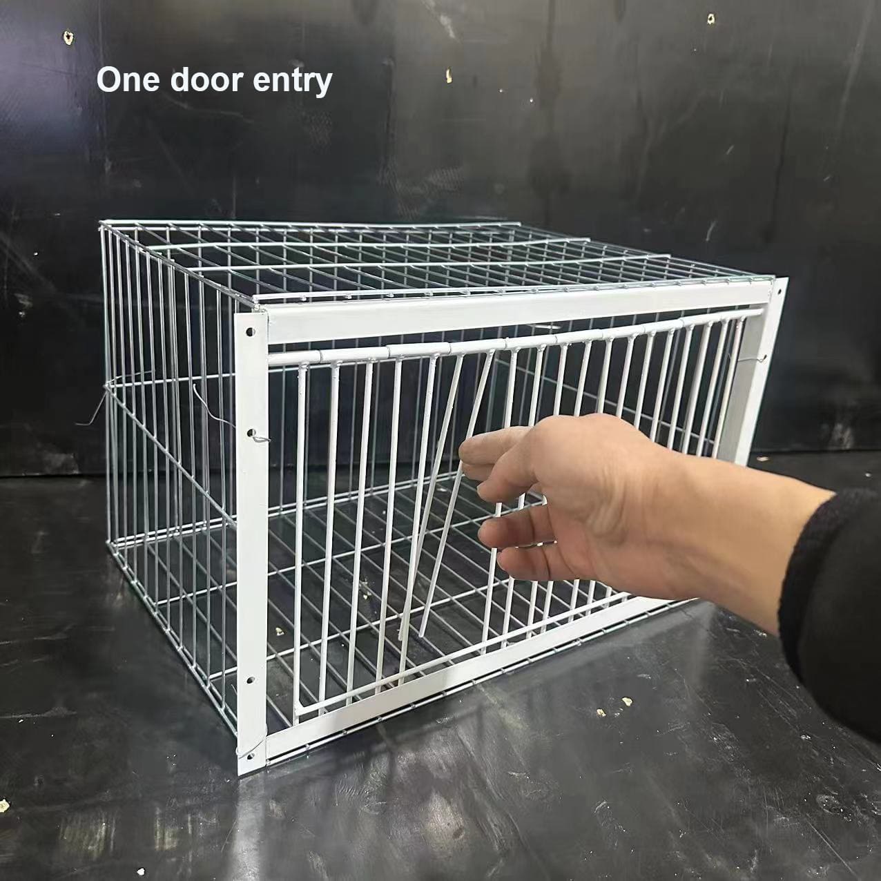Trampa Innovadora para Aves – Captura Pájaros sin Lastimarlos