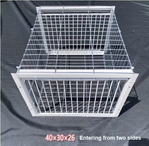 Trampa Innovadora para Aves – Captura Pájaros sin Lastimarlos