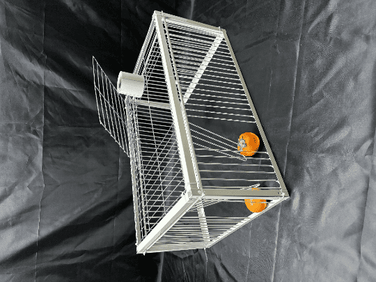 Trampa Innovadora para Aves – Captura Pájaros sin Lastimarlos