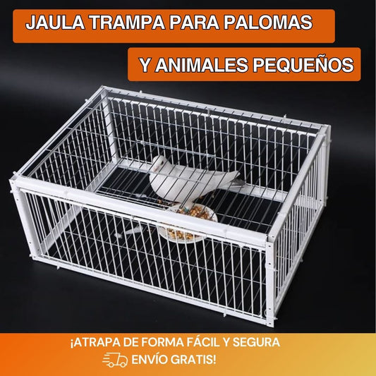 Trampa Innovadora para Aves – Captura Pájaros sin Lastimarlos