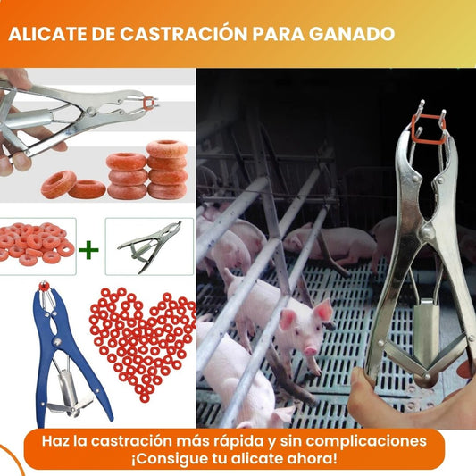 Alicate para Anillos de Goma